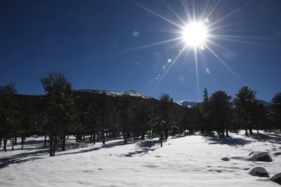 DSC_4882 (Large).JPG